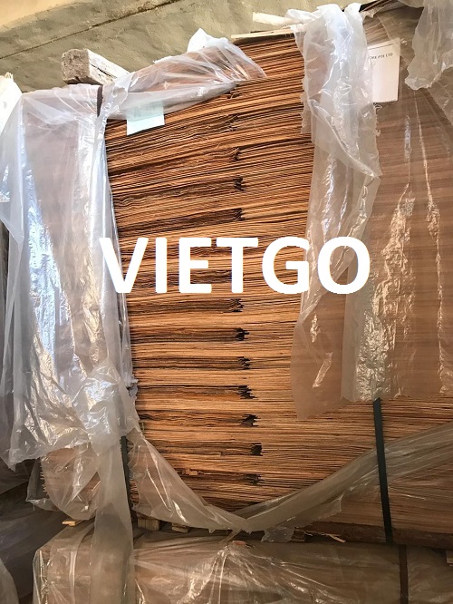 Ván bóc gỗ bạch dương Vietgo Ván bóc gỗ bạch dương Vietgo
